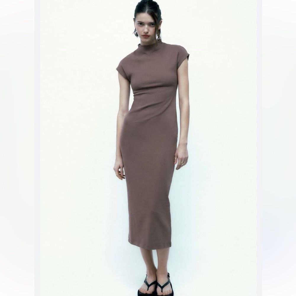 Zara NWT Mock Neck Maxi Dress (L)